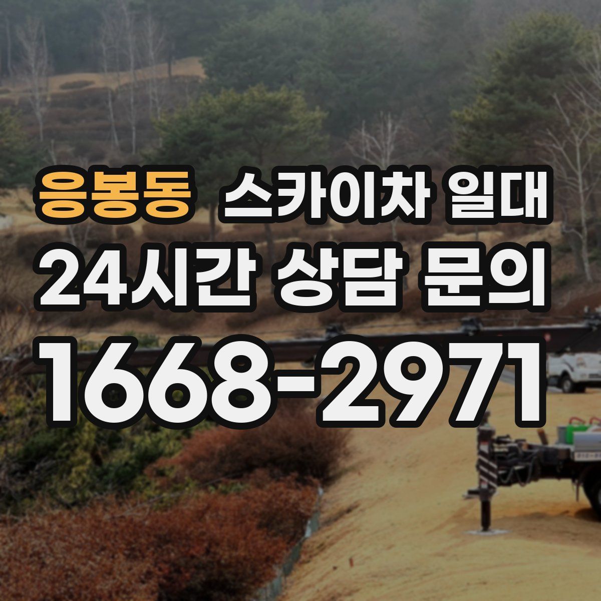 응봉동 스카이차 일대