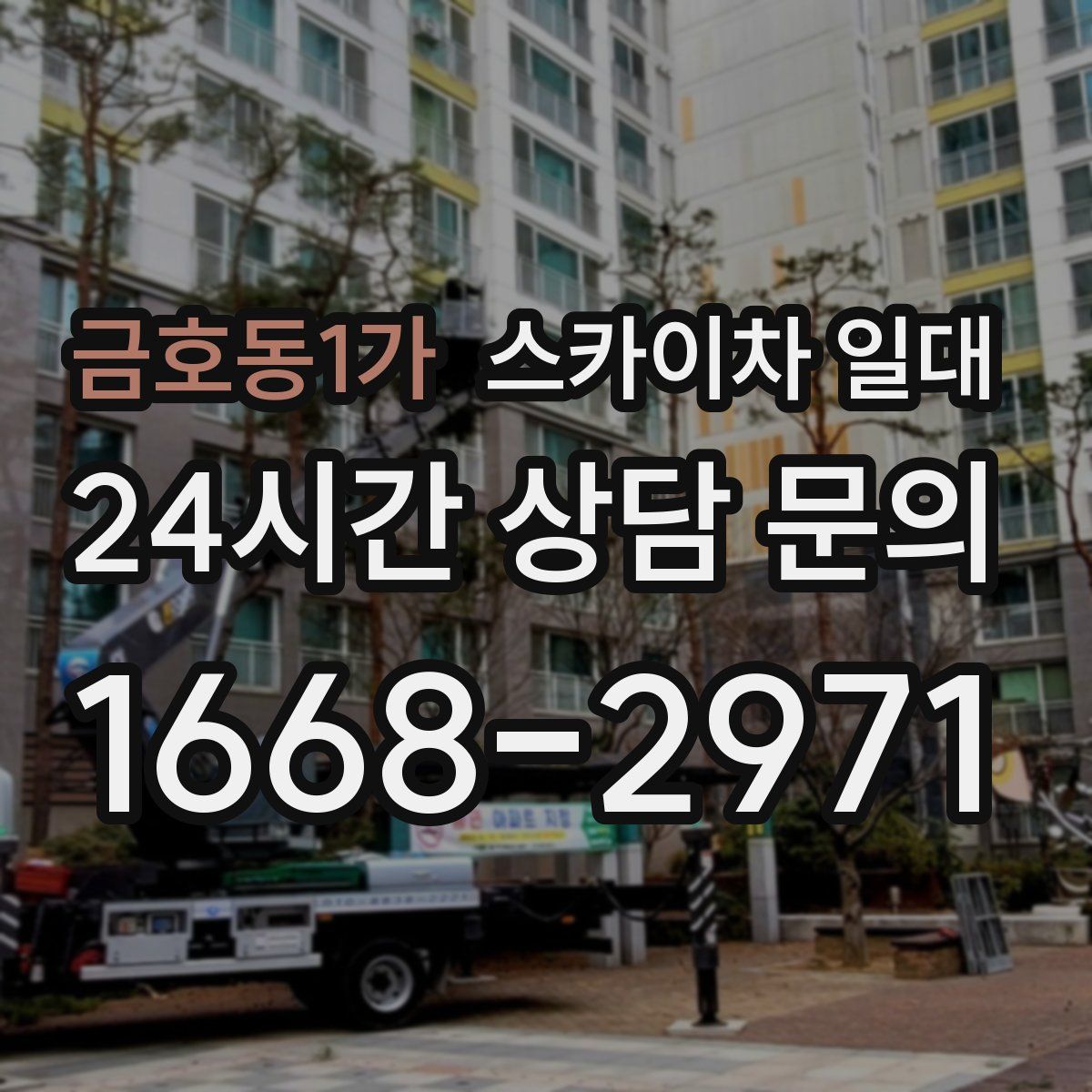금호동1가 스카이차 일대