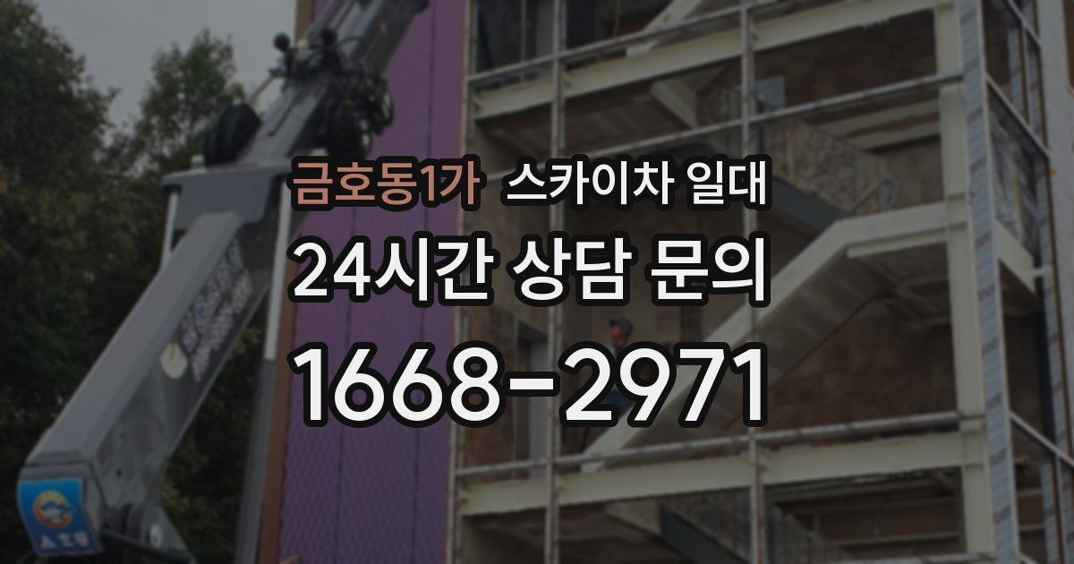 금호동1가 스카이차 일대