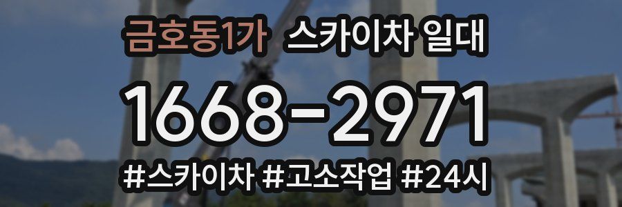 금호동1가 스카이차 일대