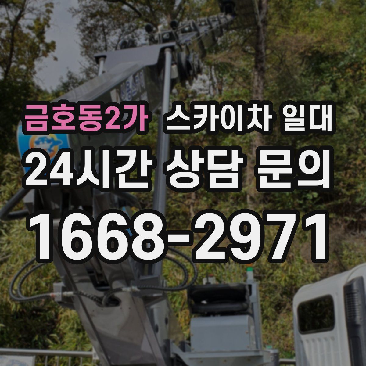 금호동2가 스카이차 일대