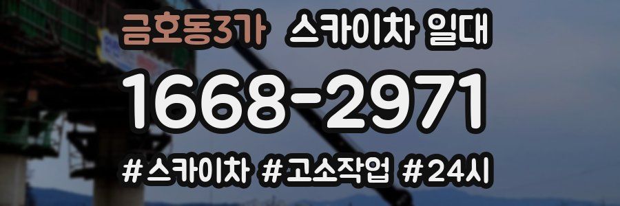 금호동3가 스카이차 일대