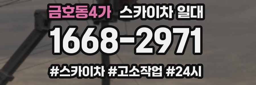 금호동4가 스카이차 일대