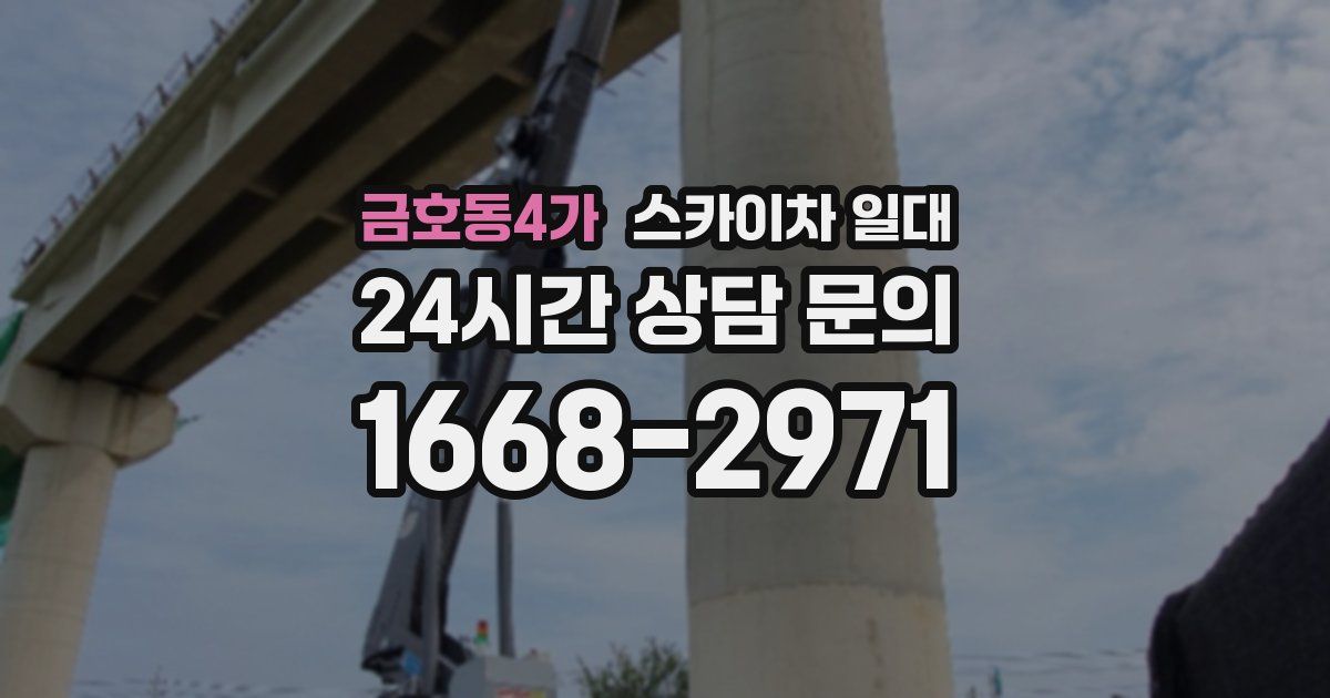 금호동4가 스카이차 일대