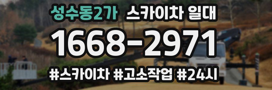 성수동2가 스카이차 일대