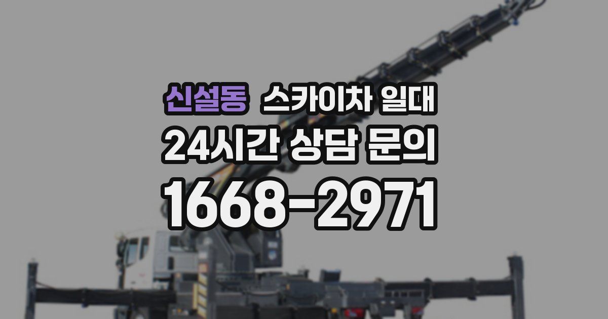 신설동 스카이차 일대