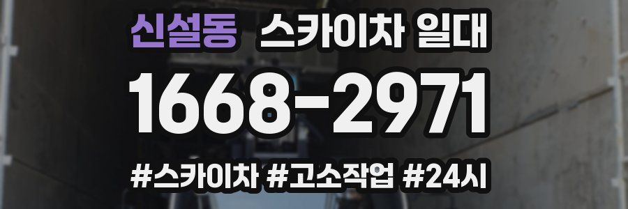 신설동 스카이차 일대