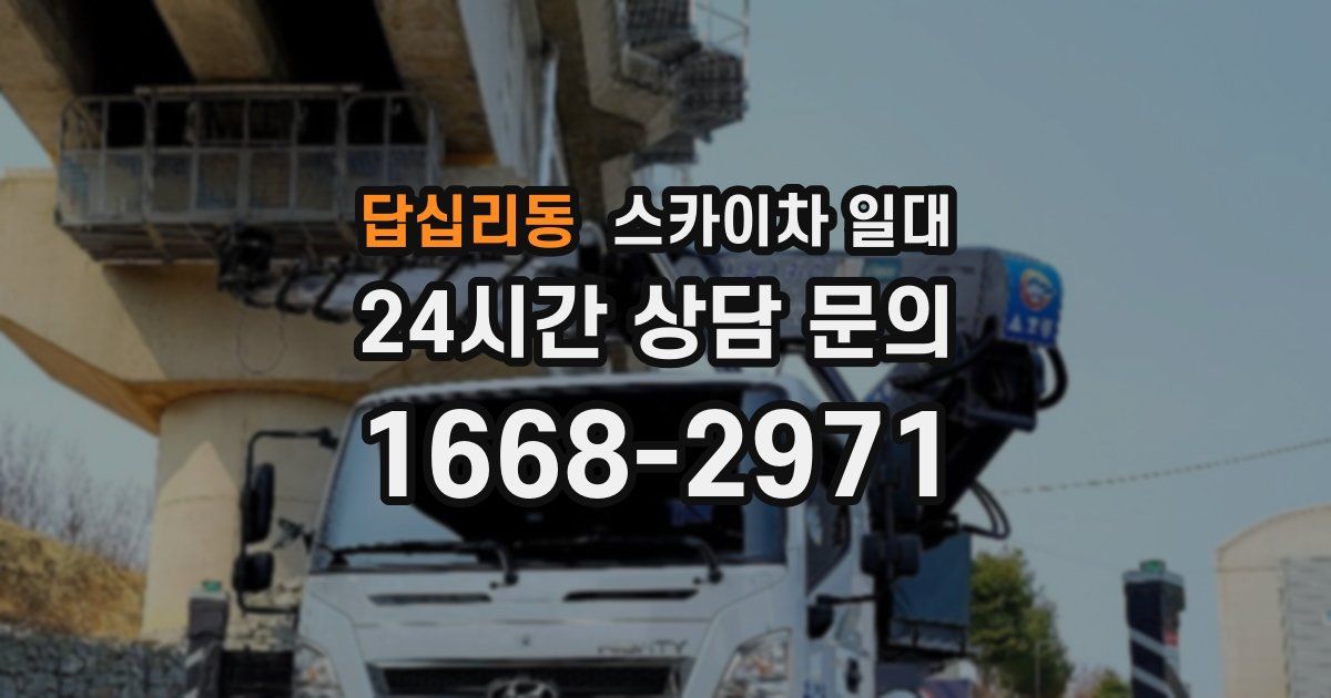답십리동 스카이차 일대