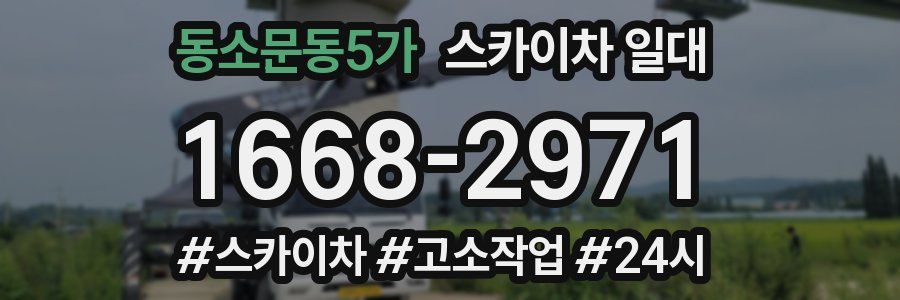 동소문동5가 스카이차 일대