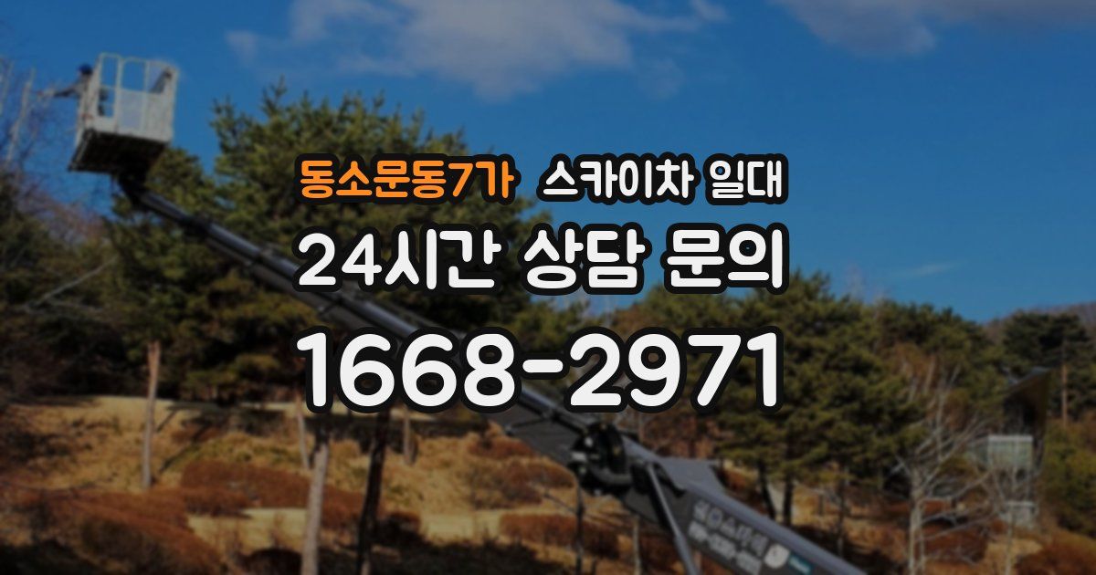 동소문동7가 스카이차 일대
