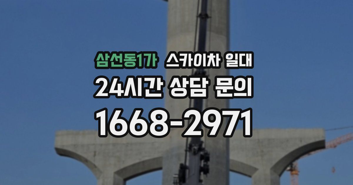 삼선동1가 스카이차 일대
