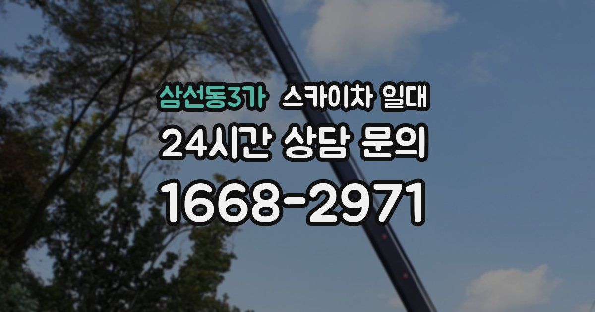 삼선동3가 스카이차 일대
