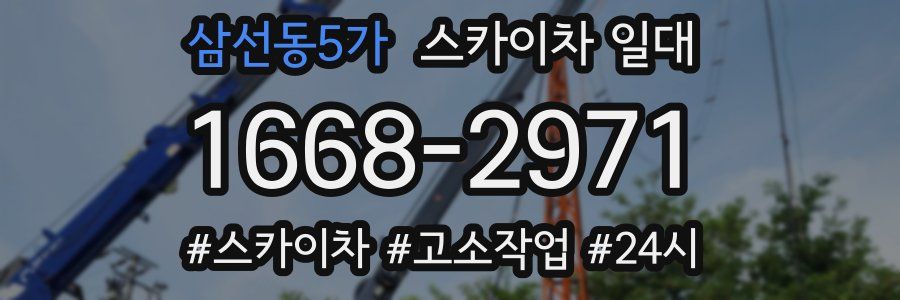 삼선동5가 스카이차 일대