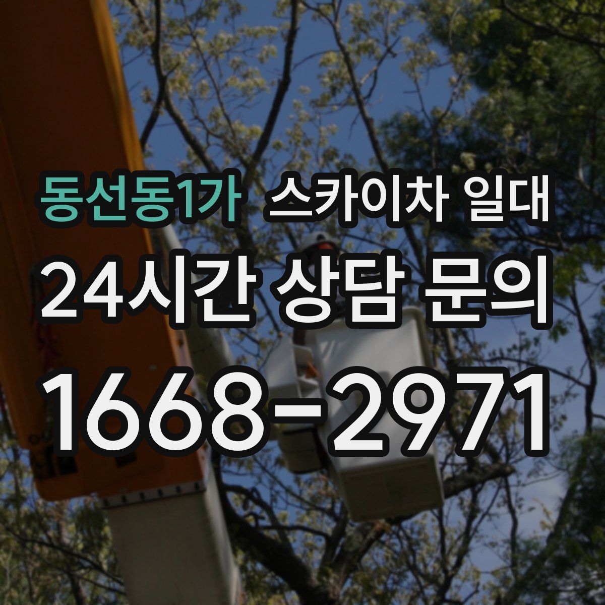 동선동1가 스카이차 일대