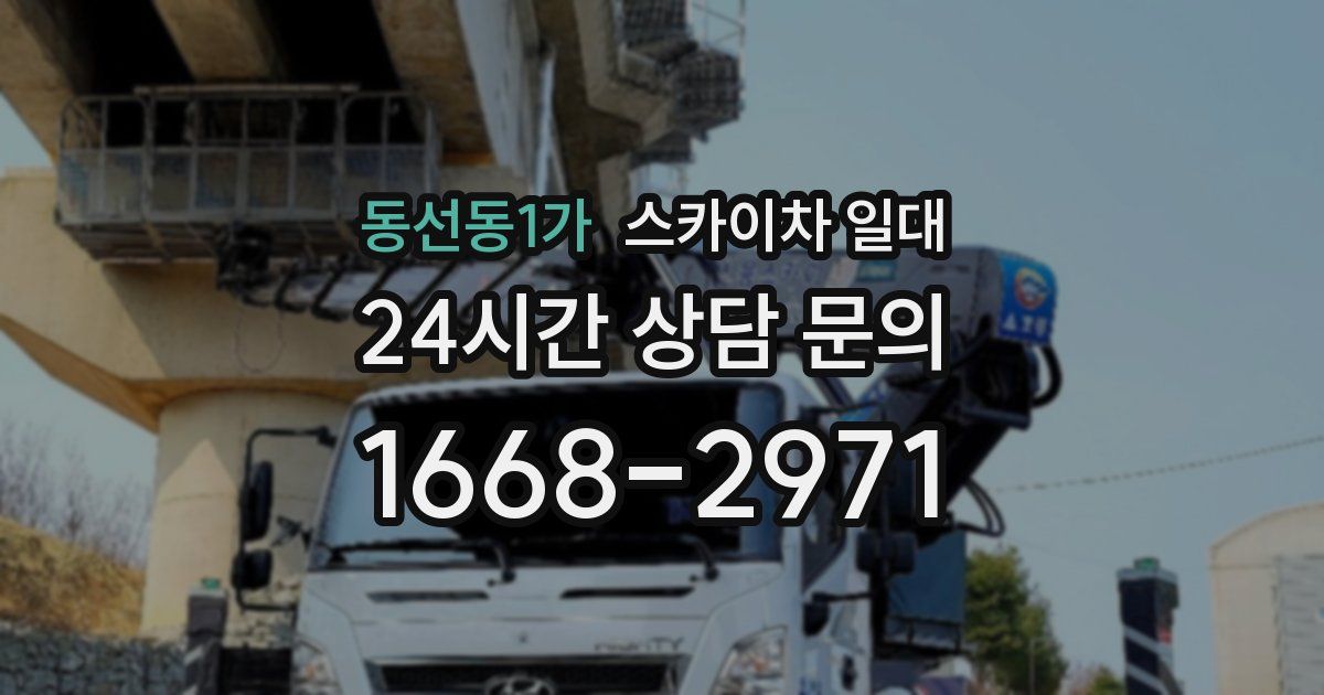 동선동1가 스카이차 일대