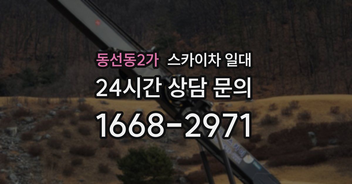 동선동2가 스카이차 일대