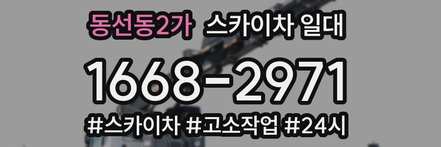 동선동2가 스카이차 일대