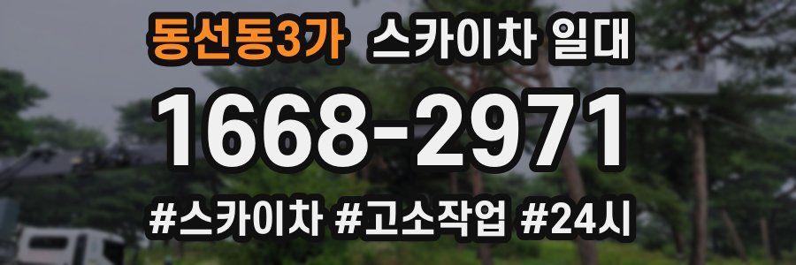 동선동3가 스카이차 일대