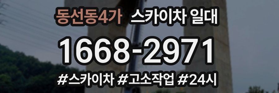 동선동4가 스카이차 일대