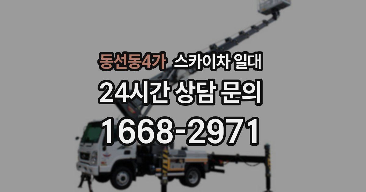 동선동4가 스카이차 일대