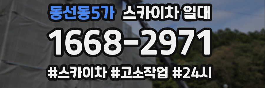동선동5가 스카이차 일대