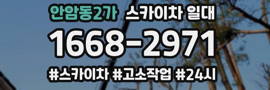 안암동2가 스카이차 일대