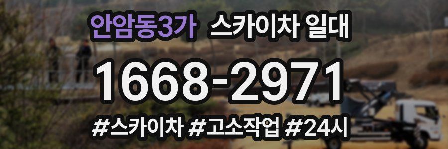 안암동3가 스카이차 일대