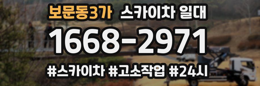 보문동3가 스카이차 일대