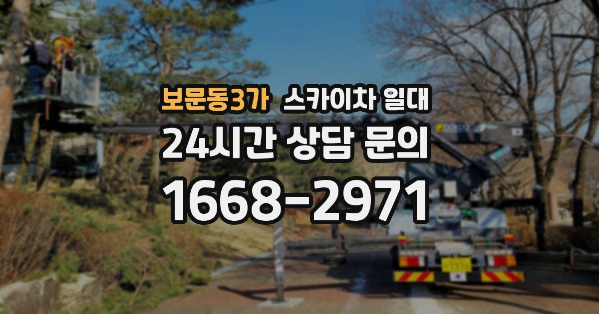 보문동3가 스카이차 일대