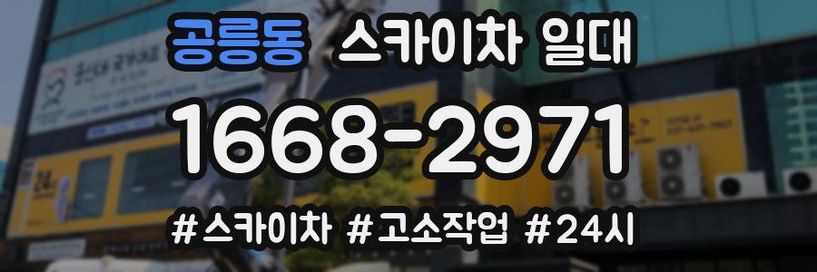 공릉동 스카이차 일대