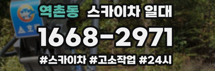 역촌동 스카이차 일대