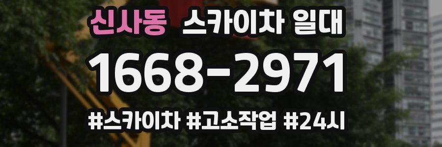 신사동 스카이차 일대