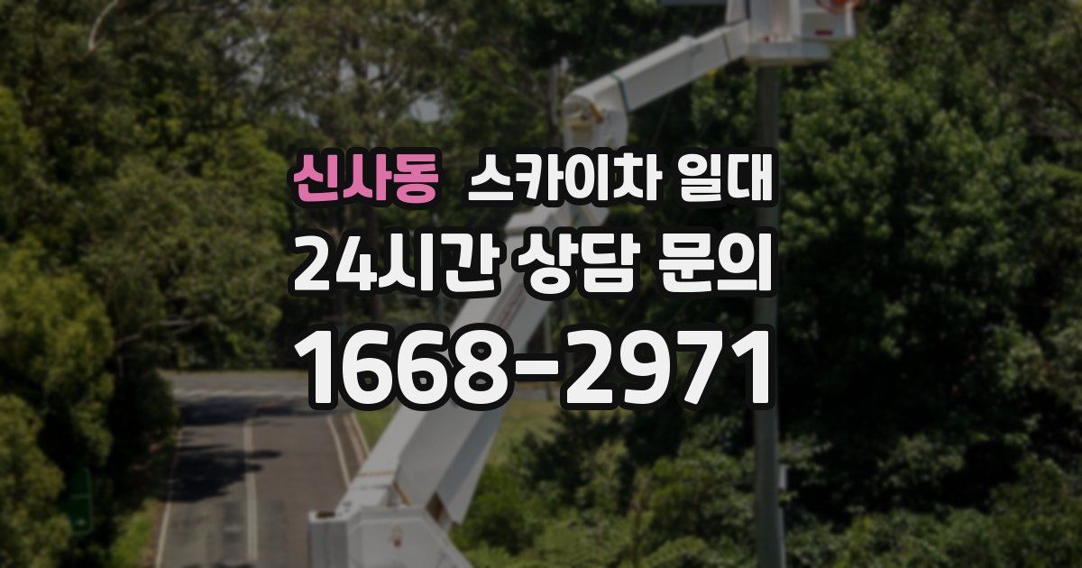 신사동 스카이차 일대