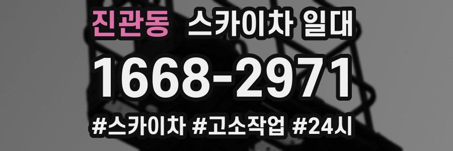 진관동 스카이차 일대