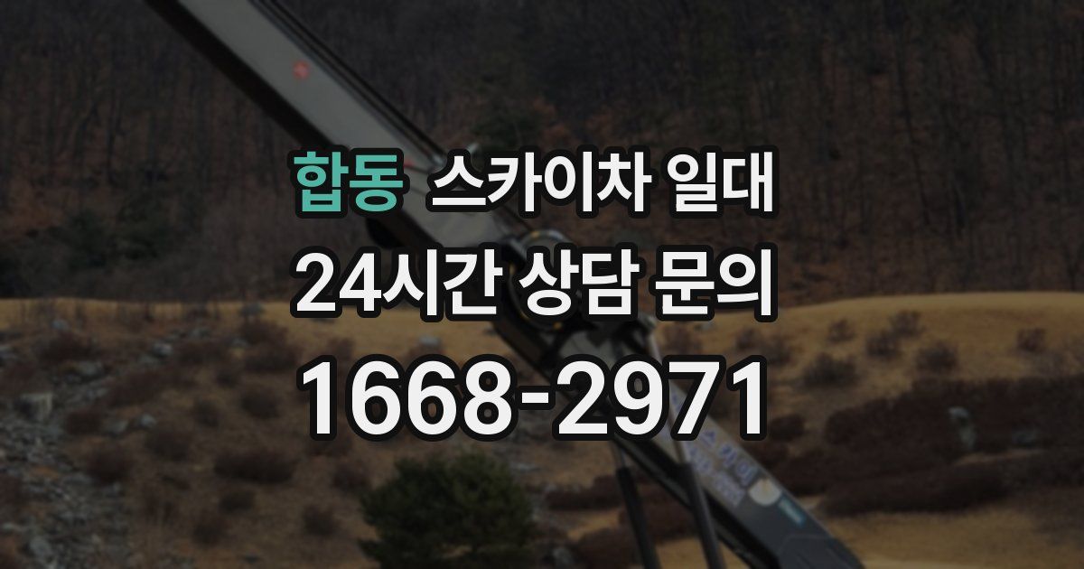 합동 스카이차 일대