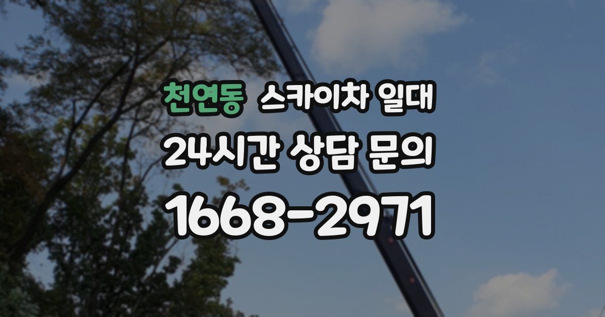 천연동 스카이차 일대
