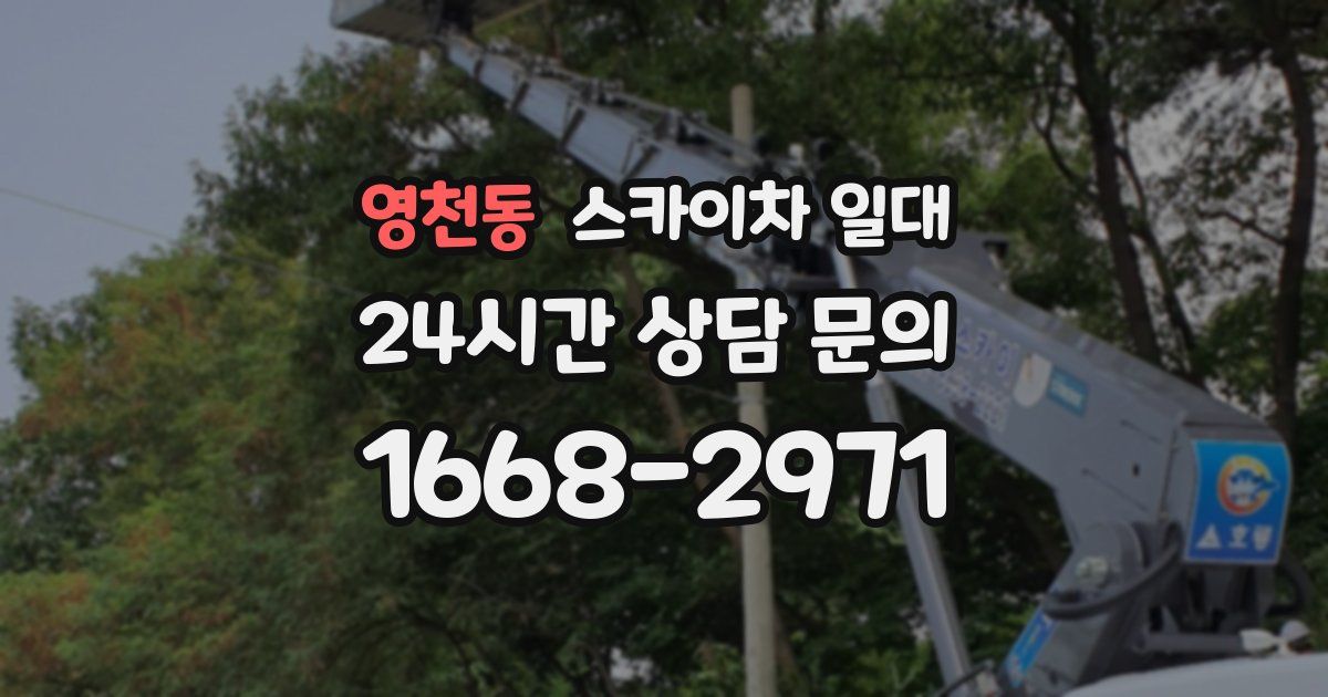 영천동 스카이차 일대