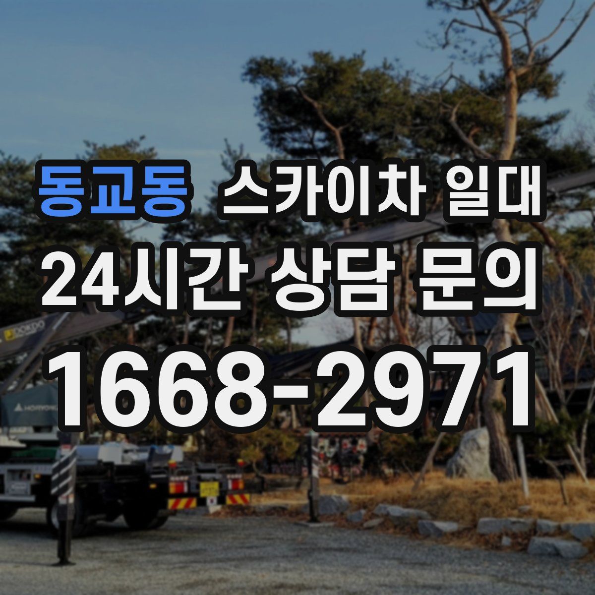 동교동 스카이차 일대