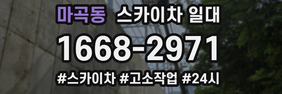 마곡동 스카이차 일대
