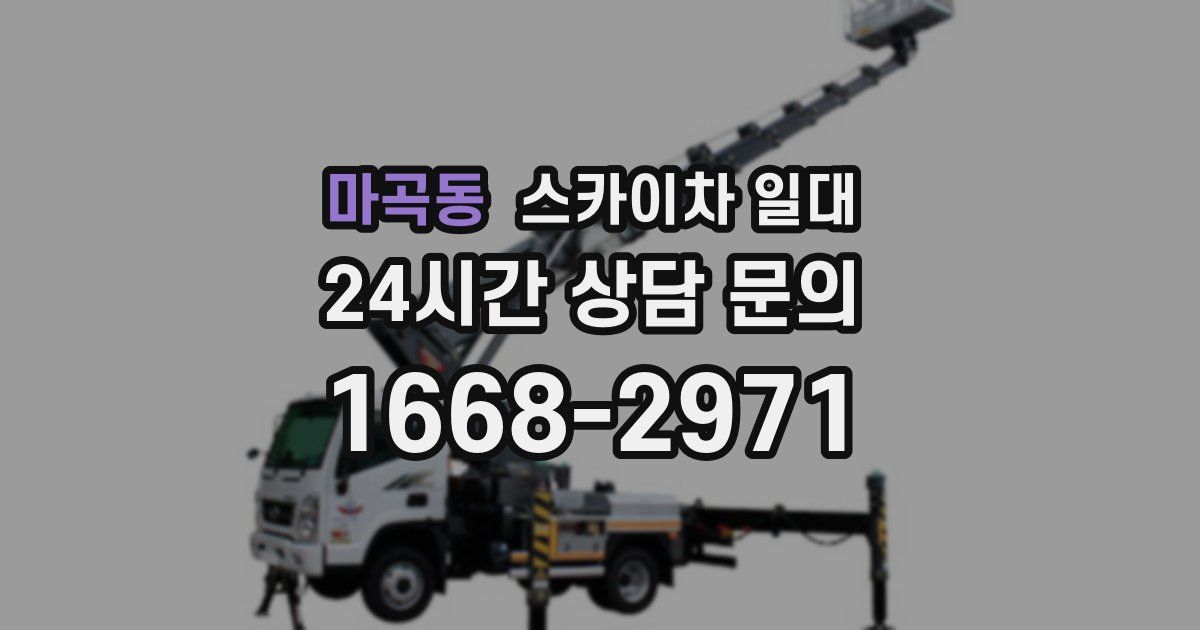 마곡동 스카이차 일대