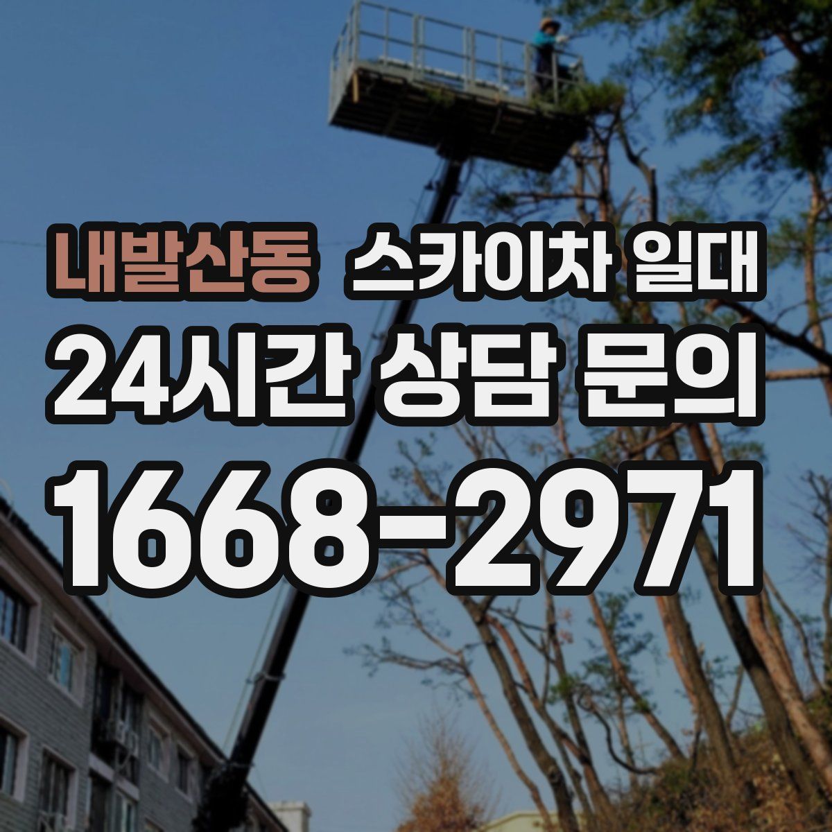 내발산동 스카이차 일대