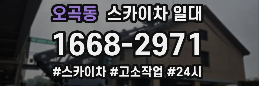 오곡동 스카이차 일대