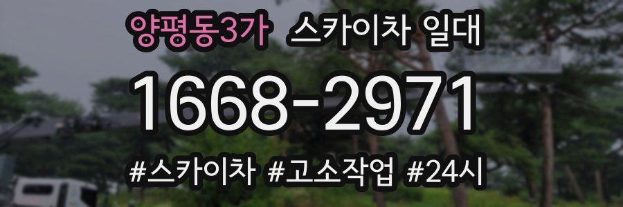 양평동3가 스카이차 일대