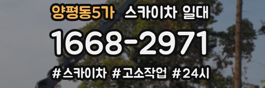 양평동5가 스카이차 일대