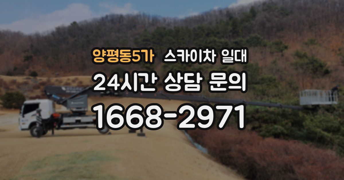 양평동5가 스카이차 일대