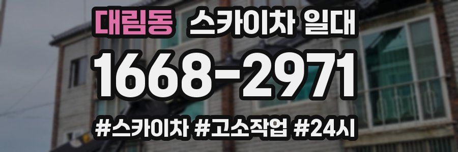 대림동 스카이차 일대