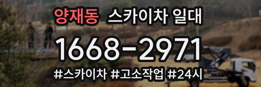 양재동 스카이차 일대