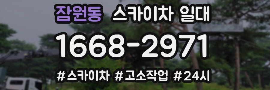 잠원동 스카이차 일대