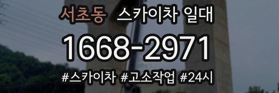 서초동 스카이차 일대