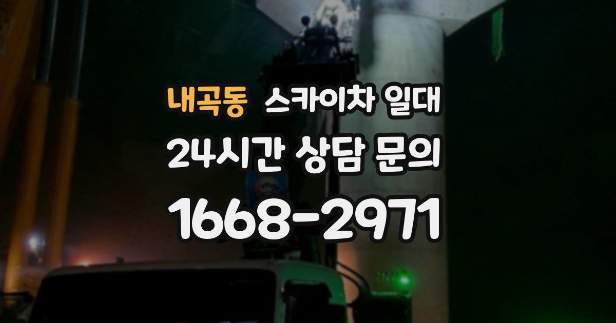 내곡동 스카이차 일대